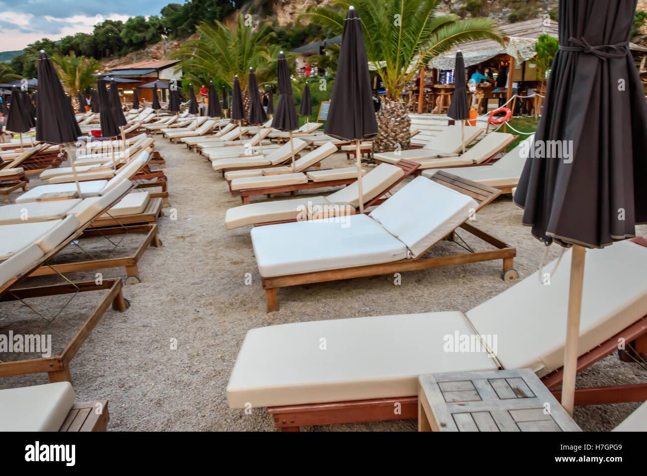 Lettini in spiaggia Foto Stock