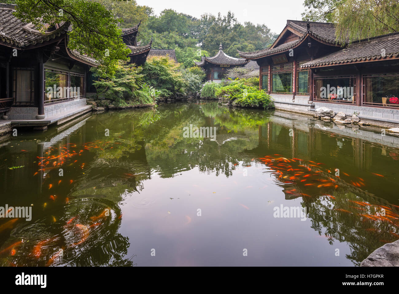 Laghetto e pesci koi nel classico giardino Cinese, Hangzhou, Cina. Foto Stock