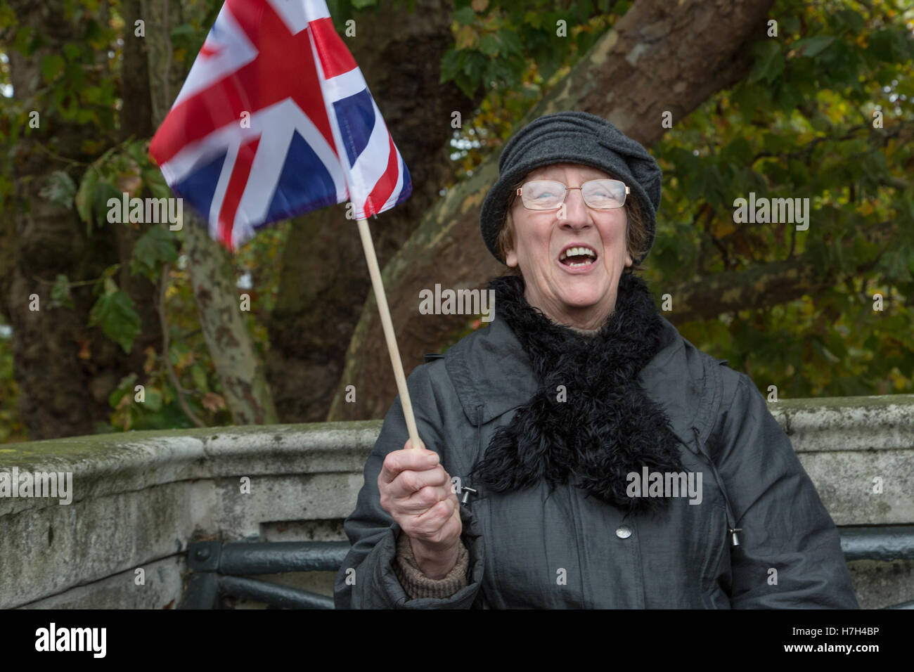 Richmond-upon-Thames: Una donna anziana sventola una bandiera dell'union jack come lei le campagne per Lib Dem candidato Sarah Olney in dai-elezione contro Zac Goldsmith. Il Brexit referendum è stato un tema chiave nella circoscrizione elettorale che ha votato il 73% rimangono. Credito: a Vista/fotografica Alamy Live News Foto Stock