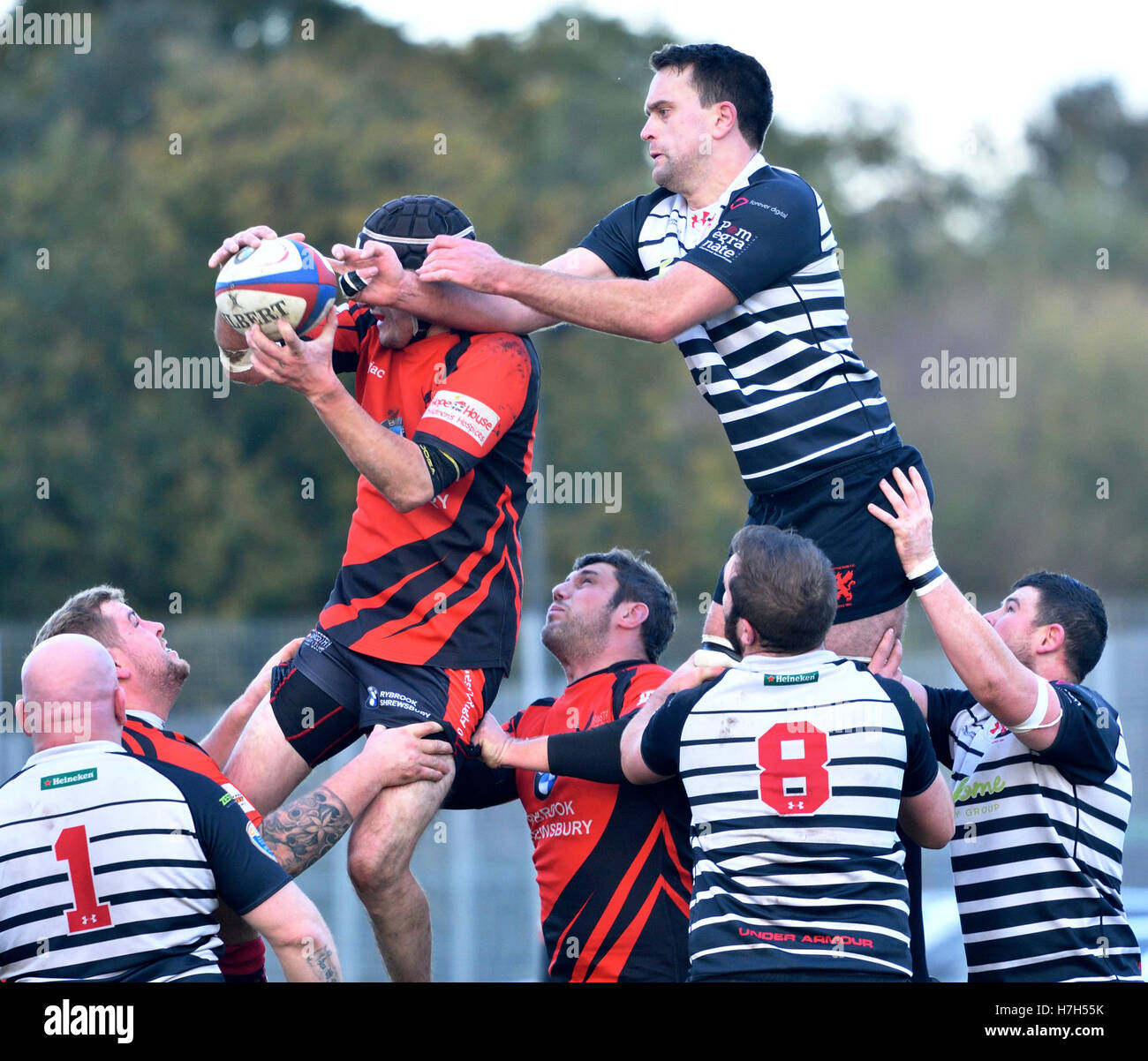 Manchester, Regno Unito. 5 Novembre, 2016. Azione dal Sud Lancashire/Cheshire divisione 1 corrispondenza tra Broughton Park, in nero e Oswestrys, in rosso. Broughton Park win 62-0, dopo 22-0 leader a metà tempo per portarsi in seconda posizione e tenere Oswestry in luogo di fondo. Credito: Giovanni friggitrice/Alamy Live News Foto Stock