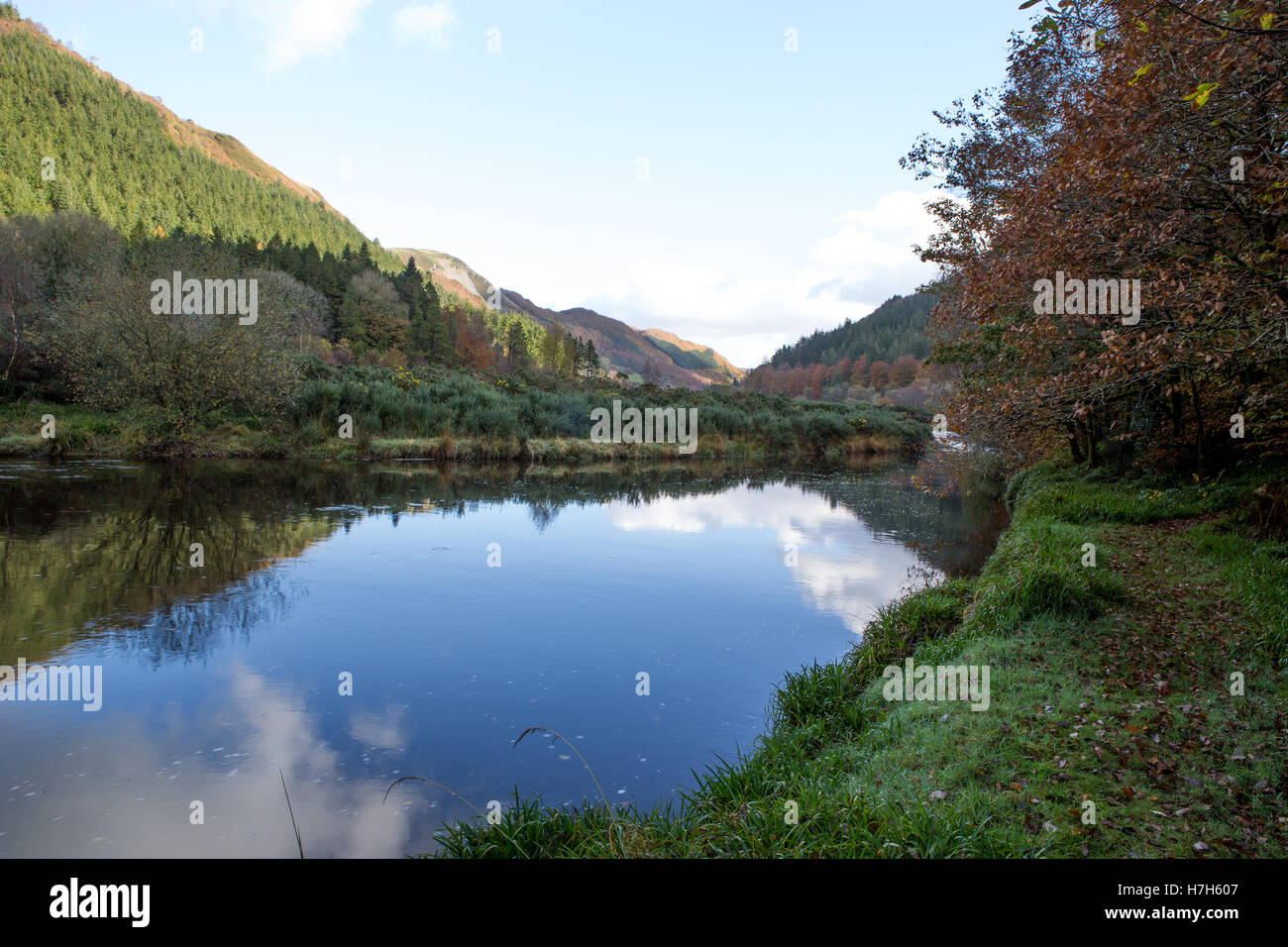 Il fiume ystwyth in esecuzione attraverso una valle di alberi in autunno Foto Stock
