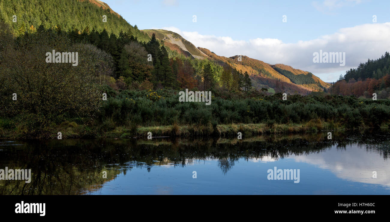 Il fiume ystwyth in esecuzione attraverso una valle di alberi in autunno Foto Stock