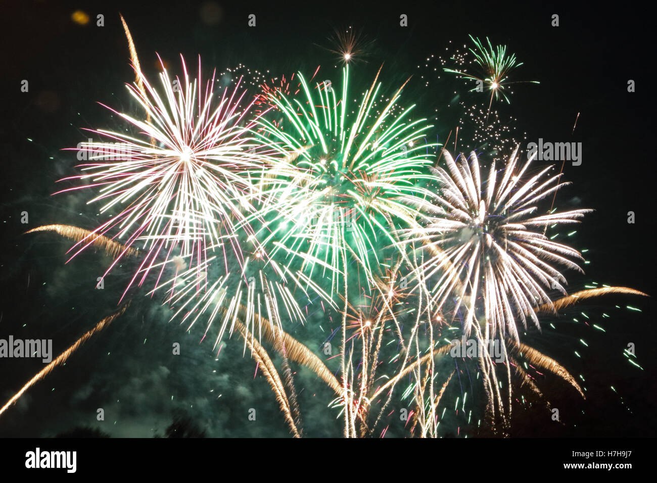 Epsom Surrey, Regno Unito. 5 novembre 2016. L annuale di fuochi d'artificio al gancio di Arena di Epsom è andato fuori con un bang. Credito: Julia Gavin UK/Alamy Live News Foto Stock