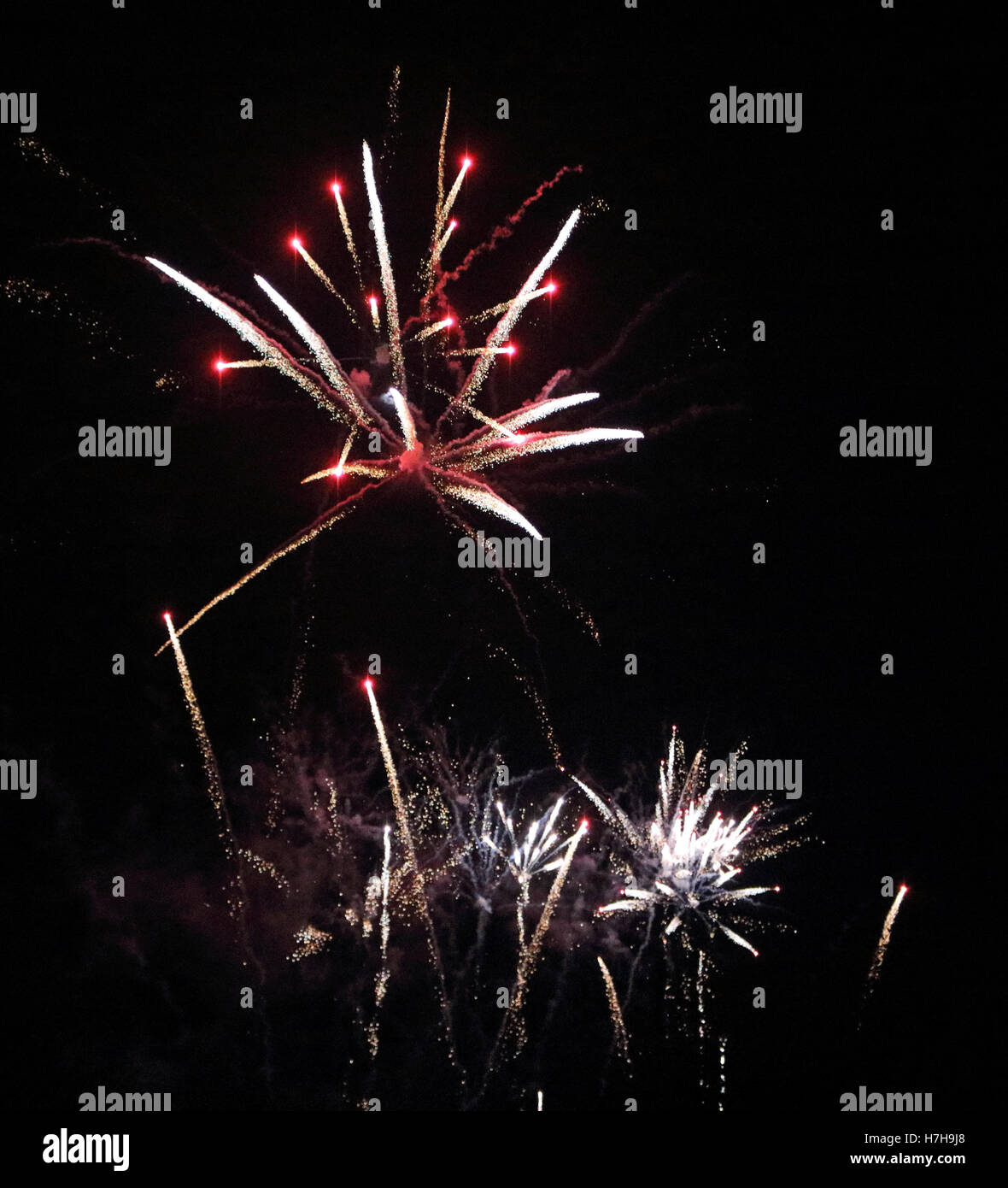 Epsom Surrey, Regno Unito. 5 novembre 2016. L annuale di fuochi d'artificio al gancio di Arena di Epsom è andato fuori con un bang. Credito: Julia Gavin UK/Alamy Live News Foto Stock