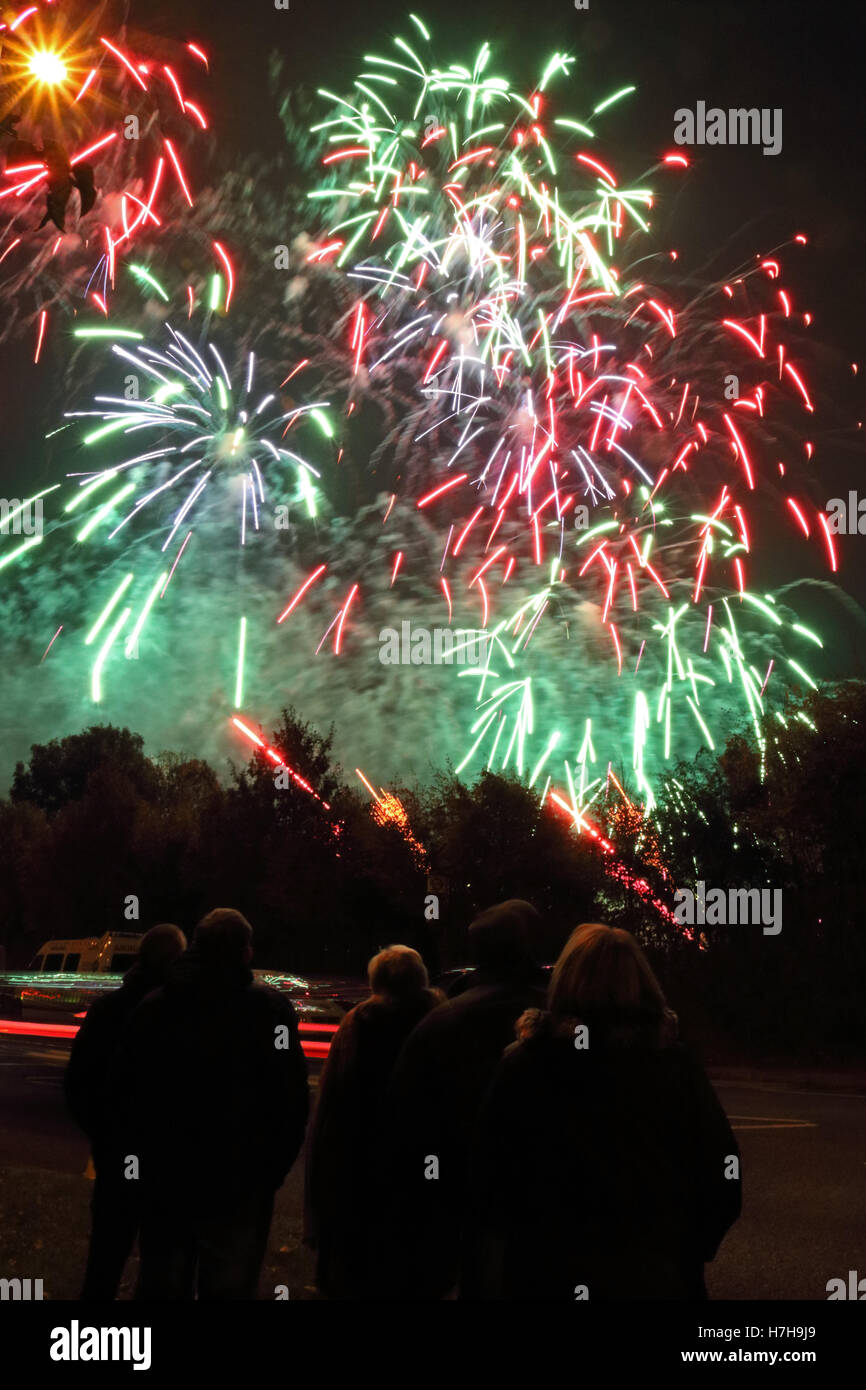 Epsom Surrey, Regno Unito. 5 novembre 2016. L annuale di fuochi d'artificio al gancio di Arena di Epsom è andato fuori con un bang. Credito: Julia Gavin UK/Alamy Live News Foto Stock