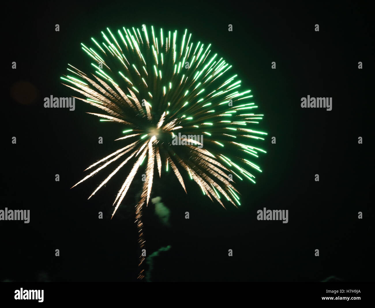 Epsom Surrey, Regno Unito. 5 novembre 2016. L annuale di fuochi d'artificio al gancio di Arena di Epsom è andato fuori con un bang. Credito: Julia Gavin UK/Alamy Live News Foto Stock
