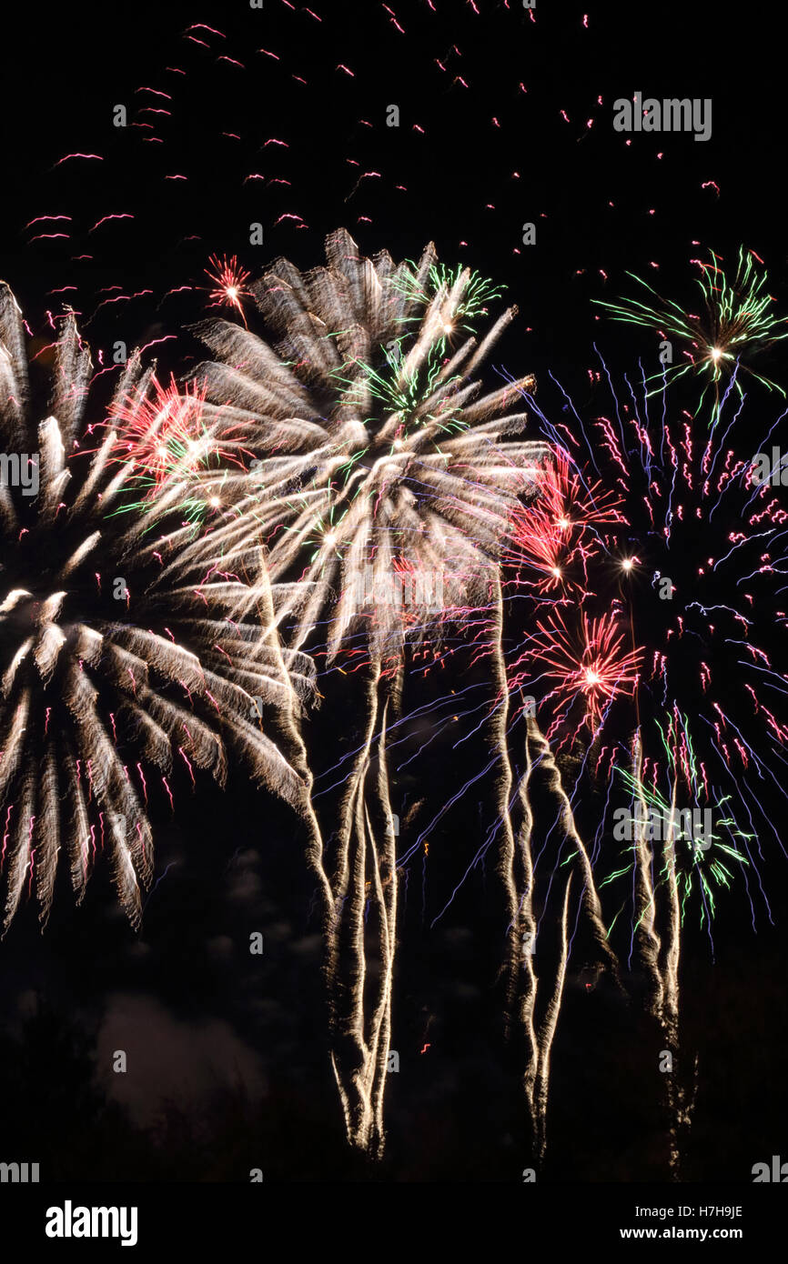 Epsom Surrey, Regno Unito. 5 novembre 2016. L annuale di fuochi d'artificio al gancio di Arena di Epsom è andato fuori con un bang. Credito: Julia Gavin UK/Alamy Live News Foto Stock