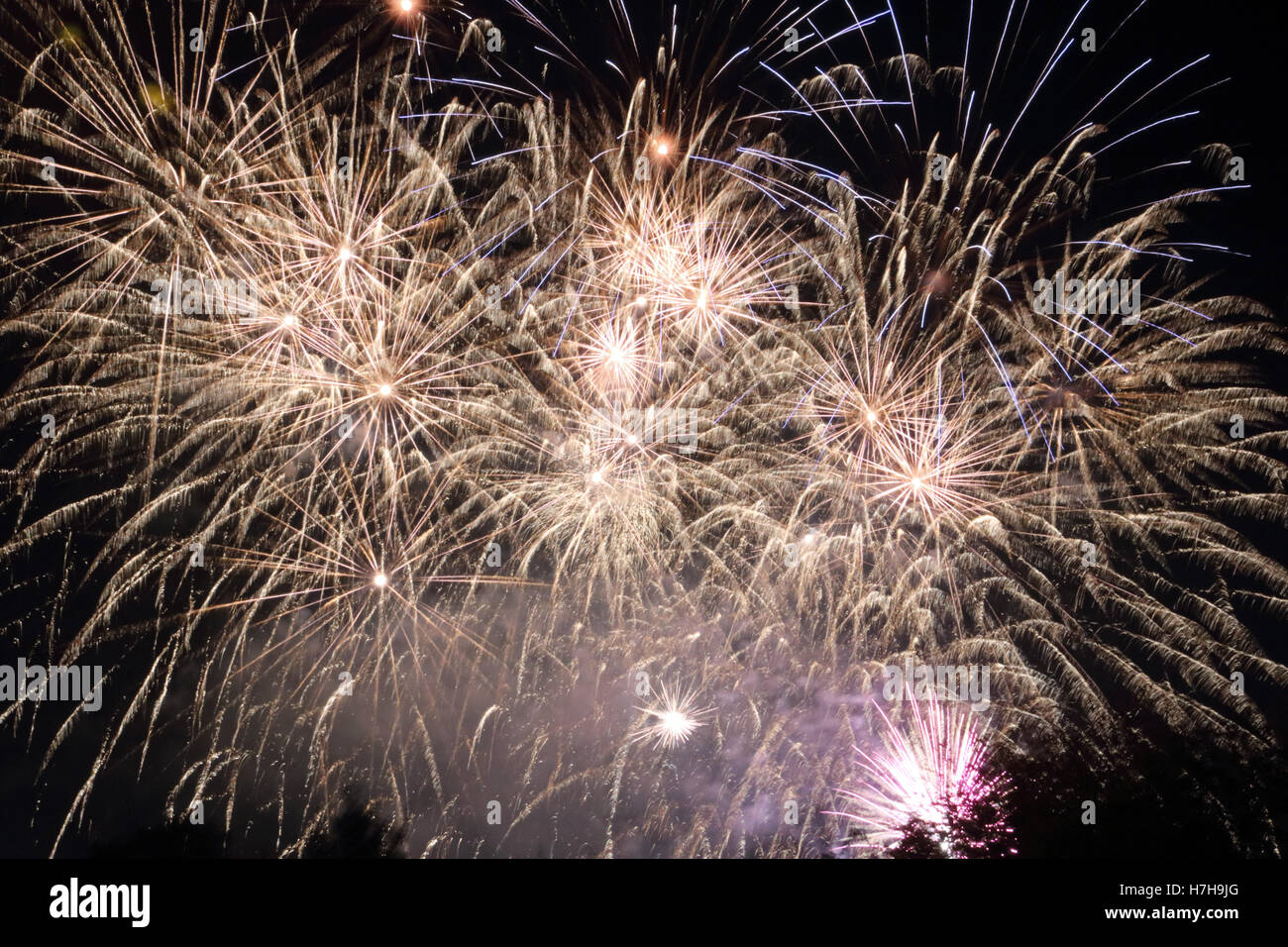 Epsom Surrey, Regno Unito. 5 novembre 2016. L annuale di fuochi d'artificio al gancio di Arena di Epsom è andato fuori con un bang. Credito: Julia Gavin UK/Alamy Live News Foto Stock