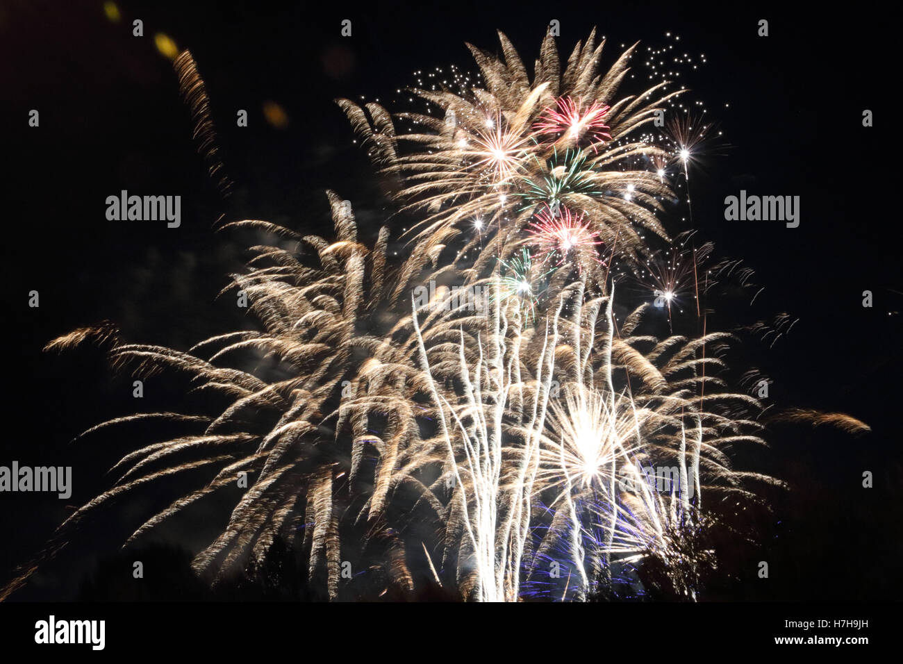 Epsom Surrey, Regno Unito. 5 novembre 2016. L annuale di fuochi d'artificio al gancio di Arena di Epsom è andato fuori con un bang. Credito: Julia Gavin UK/Alamy Live News Foto Stock