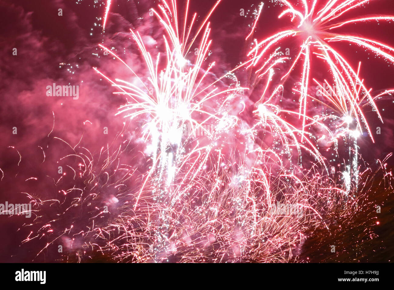 Epsom Surrey, Regno Unito. 5 novembre 2016. L annuale di fuochi d'artificio al gancio di Arena di Epsom è andato fuori con un bang. Credito: Julia Gavin UK/Alamy Live News Foto Stock