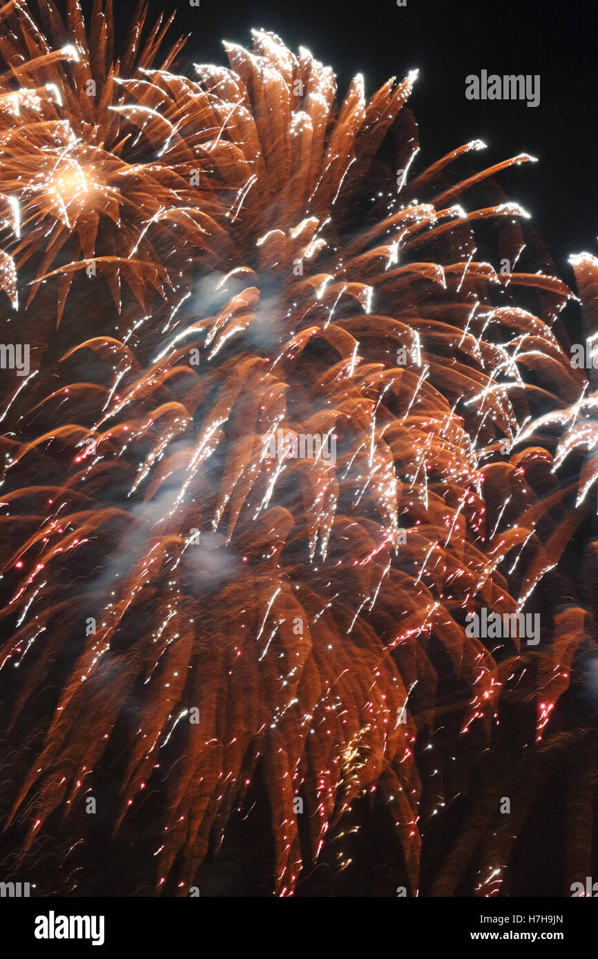 Epsom Surrey, Regno Unito. 5 novembre 2016. L annuale di fuochi d'artificio al gancio di Arena di Epsom è andato fuori con un bang. Credito: Julia Gavin UK/Alamy Live News Foto Stock