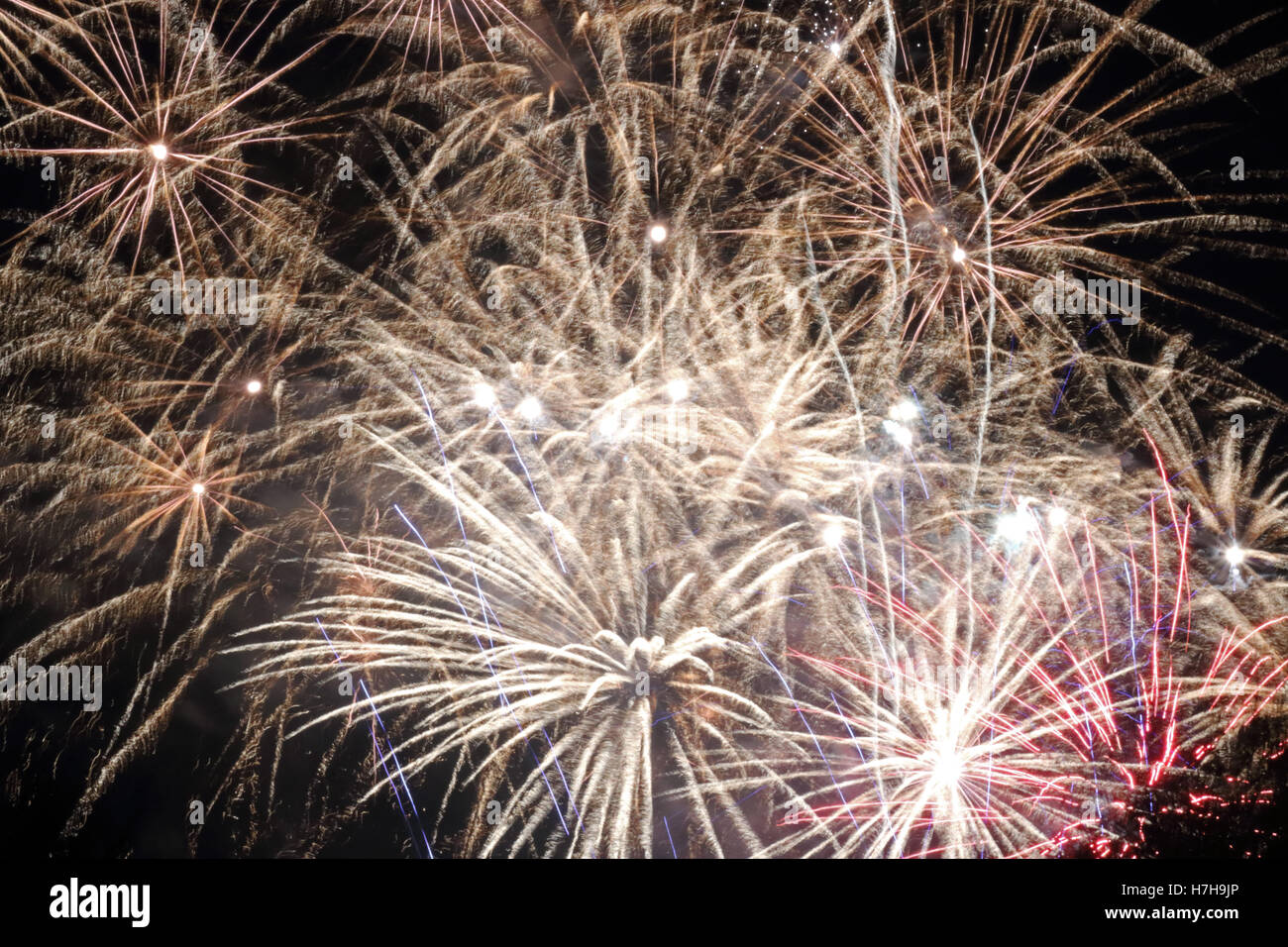Epsom Surrey, Regno Unito. 5 novembre 2016. L annuale di fuochi d'artificio al gancio di Arena di Epsom è andato fuori con un bang. Credito: Julia Gavin UK/Alamy Live News Foto Stock