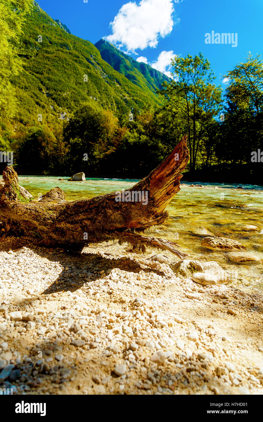 Bella strutturato log in legno su Sandy River shore in estate paesaggio di montagna Foto Stock