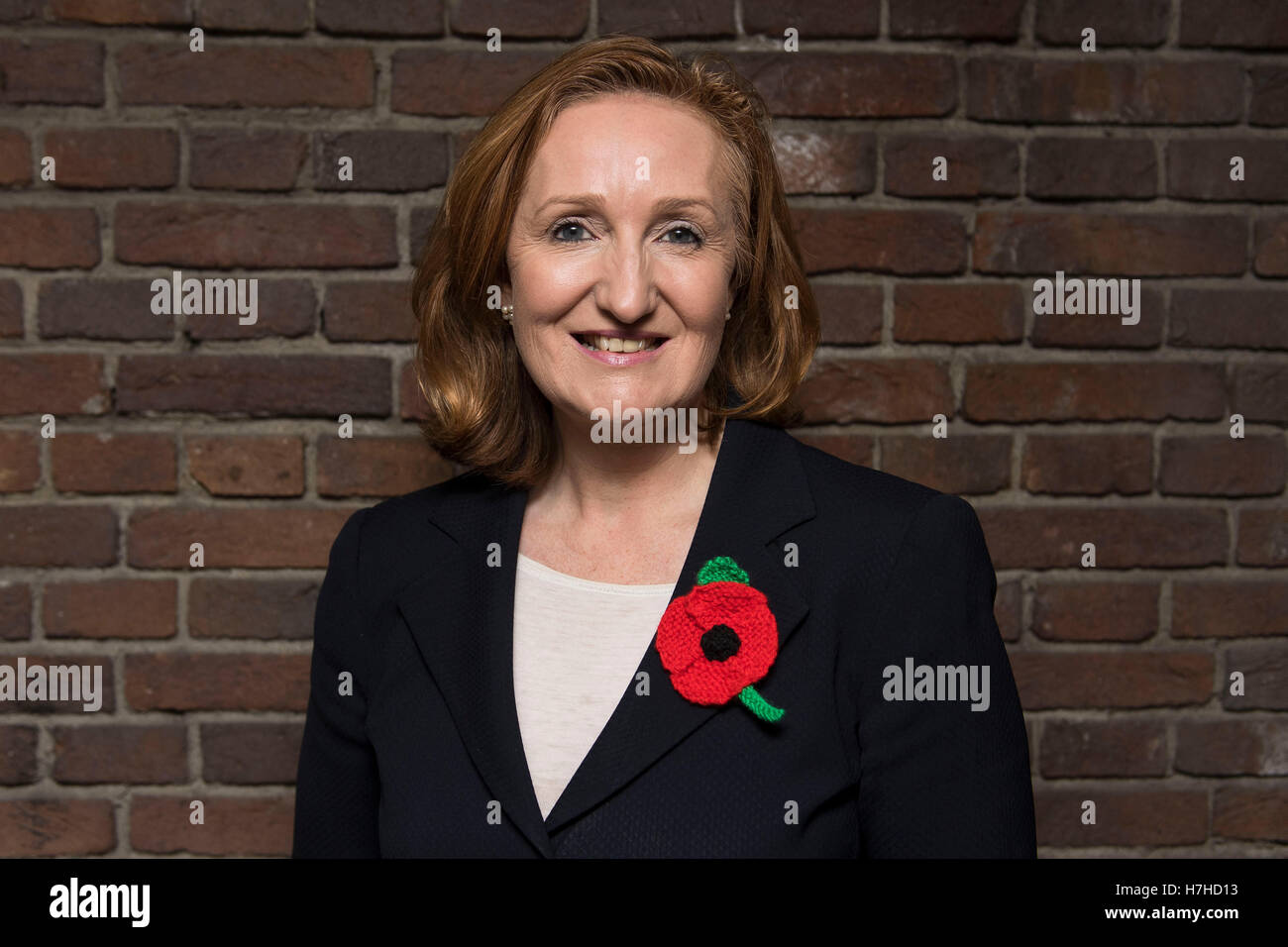 Candidato Suzanne Evans in posa per una foto davanti a un UK Independence Party hustings dibattito in Newport, Wales, Regno Unito. Foto Stock