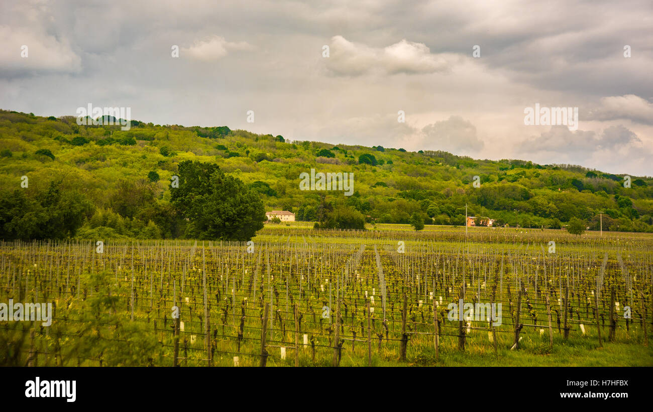 Montello, Volpago del Montello, treviso Foto stock - Alamy