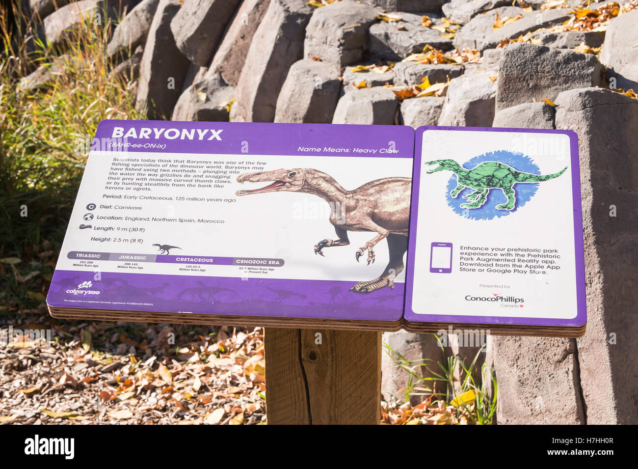 Baryonyx, theropod dinosauro, ricostruzione/modello Foto Stock