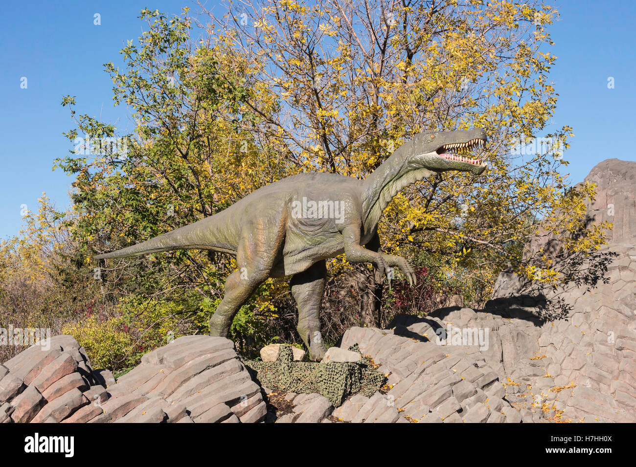 Baryonyx, theropod dinosauro, ricostruzione/modello Foto Stock