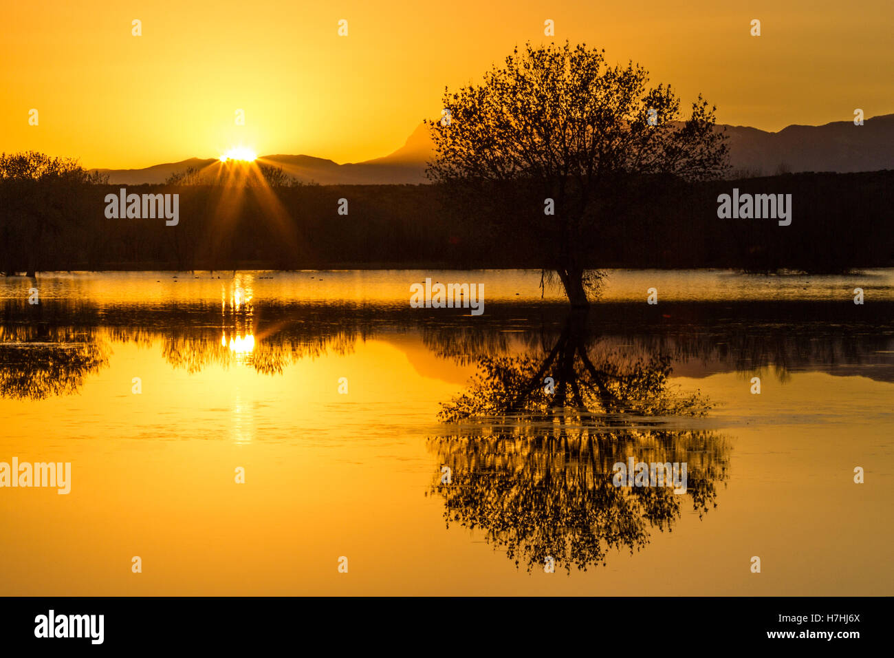 Golden sole che tramonta dietro alle montagne con tree stagliano e riflessa nel lago. Foto Stock