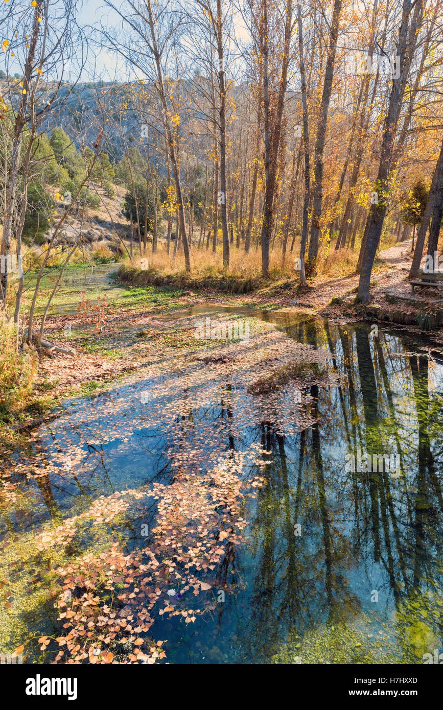Autunno creek con sentieri escursionistici e fogliame nella foresta. Soria, Spagna Foto Stock
