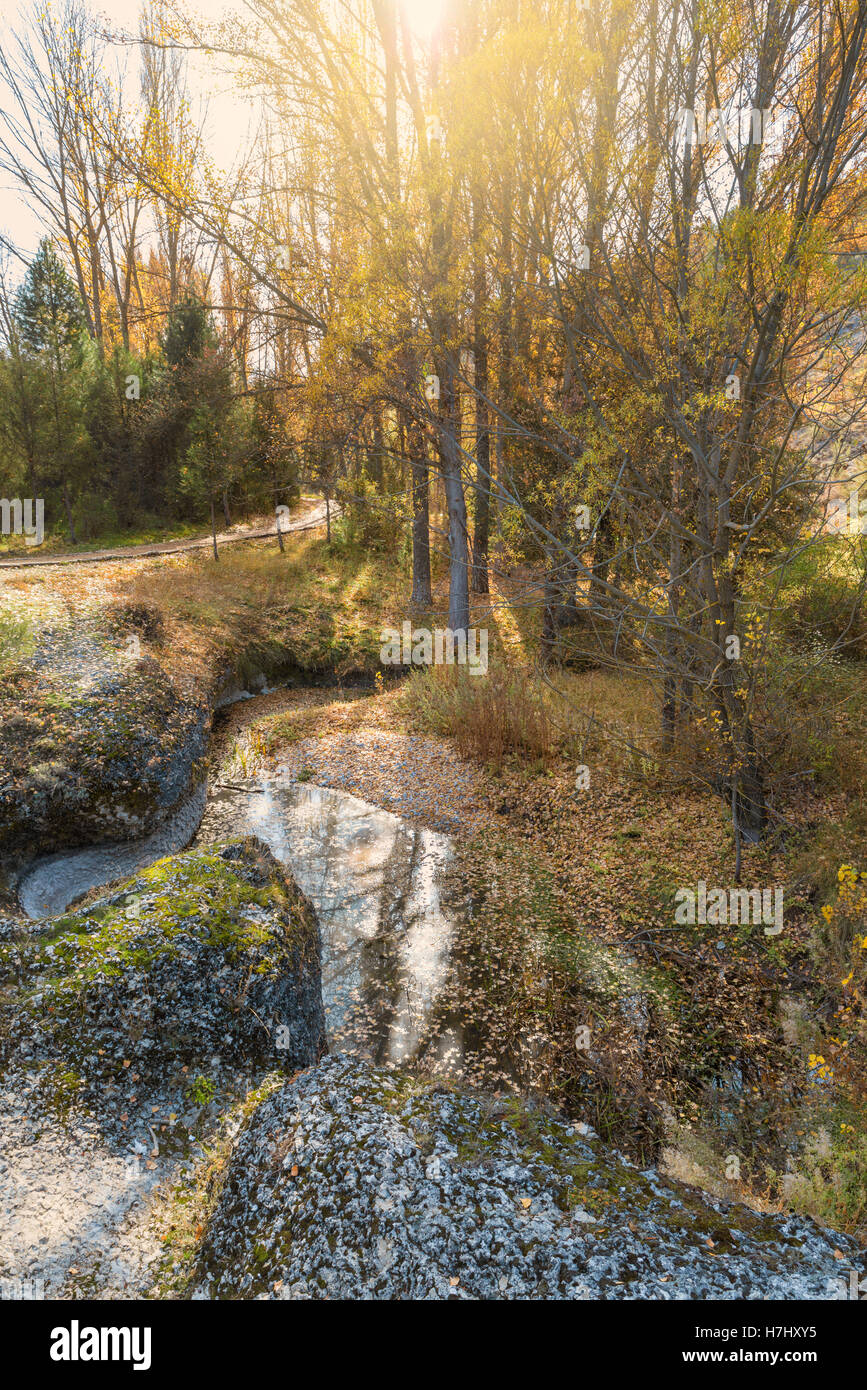 Autunno creek con sentieri escursionistici e fogliame nella foresta. Soria, Spagna Foto Stock