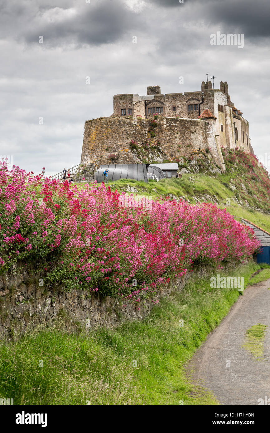 Lindisfarne Castle, Isola Santa, Northumberland, Inghilterra, Regno Unito, GB, l'Europa. Foto Stock