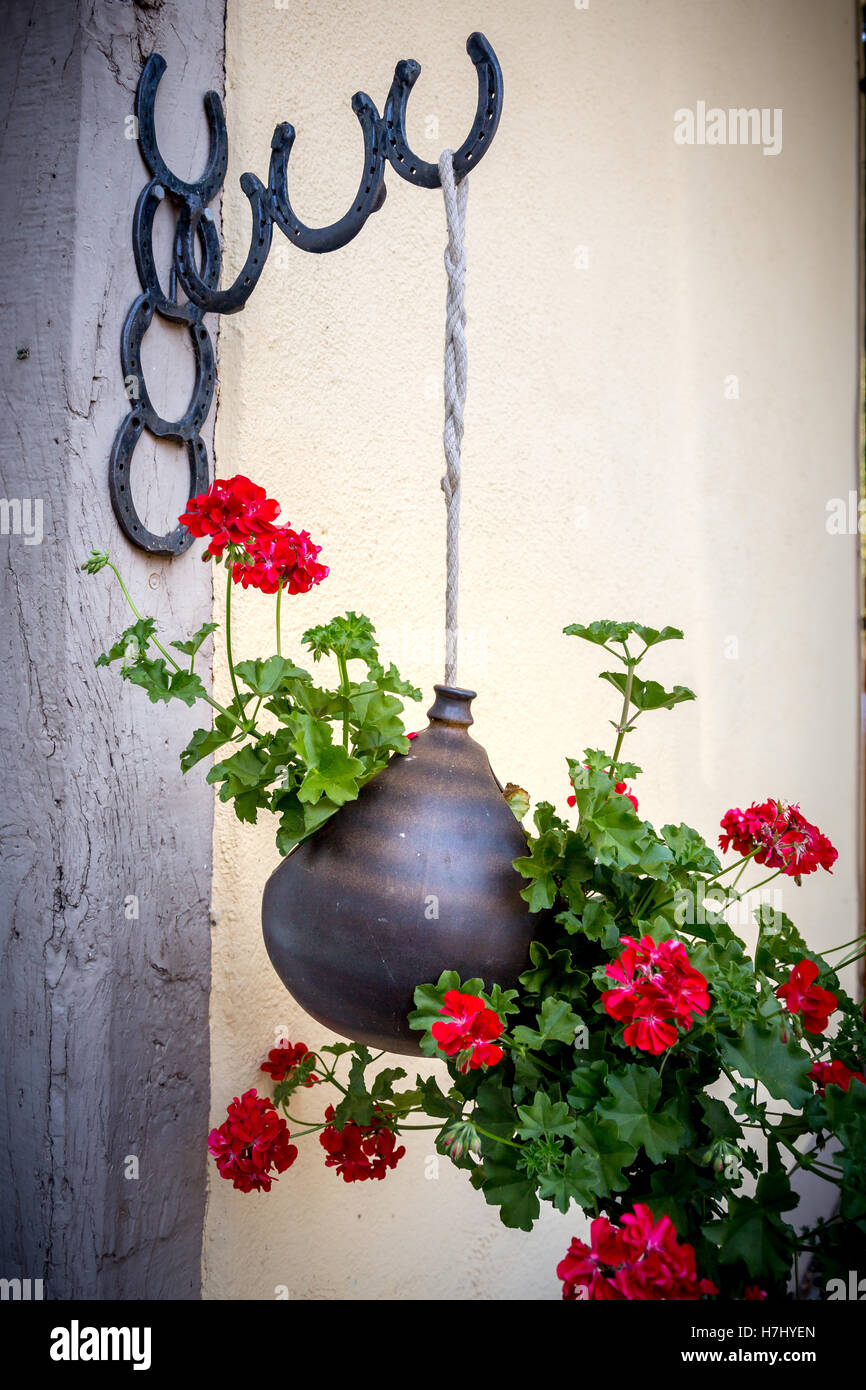 Appendere cesto fiorito sul vecchio legno incorniciata edificio, Germania, Europa. Foto Stock