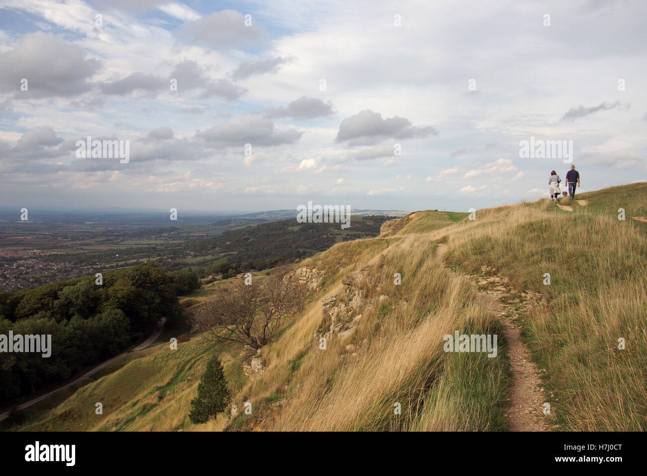 Cleeve Hill in Cotswolds, Gloucestershire England Regno Unito Foto Stock