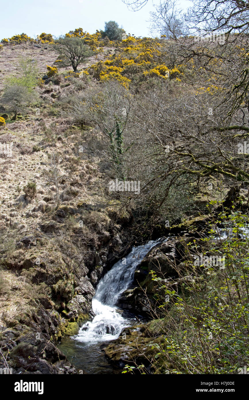 Cascata a est del fiume Okement a monte da Okehampton, sulla northwestern frange di Dartmoor Foto Stock