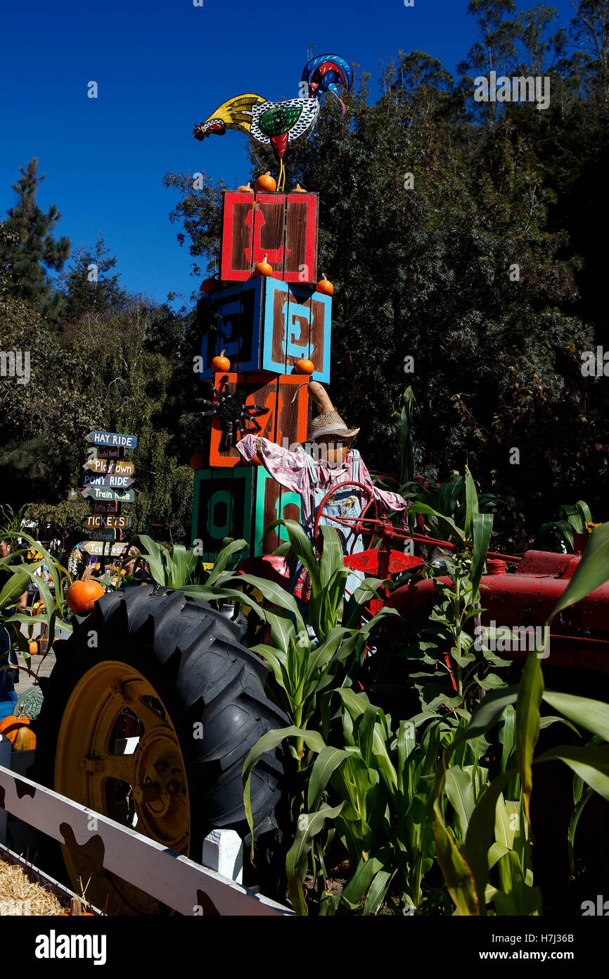 Fattoria di Halloween display con zucche, Lemos Farm, Half Moon Bay, California, Stati Uniti d'America Foto Stock