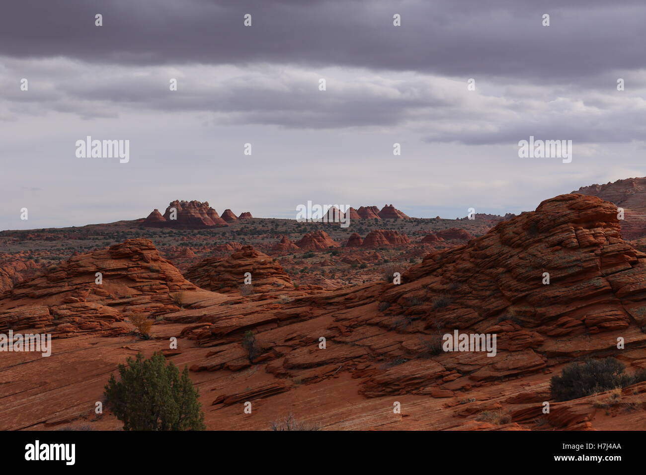 Coyote Buttes paesaggio del nord Foto Stock