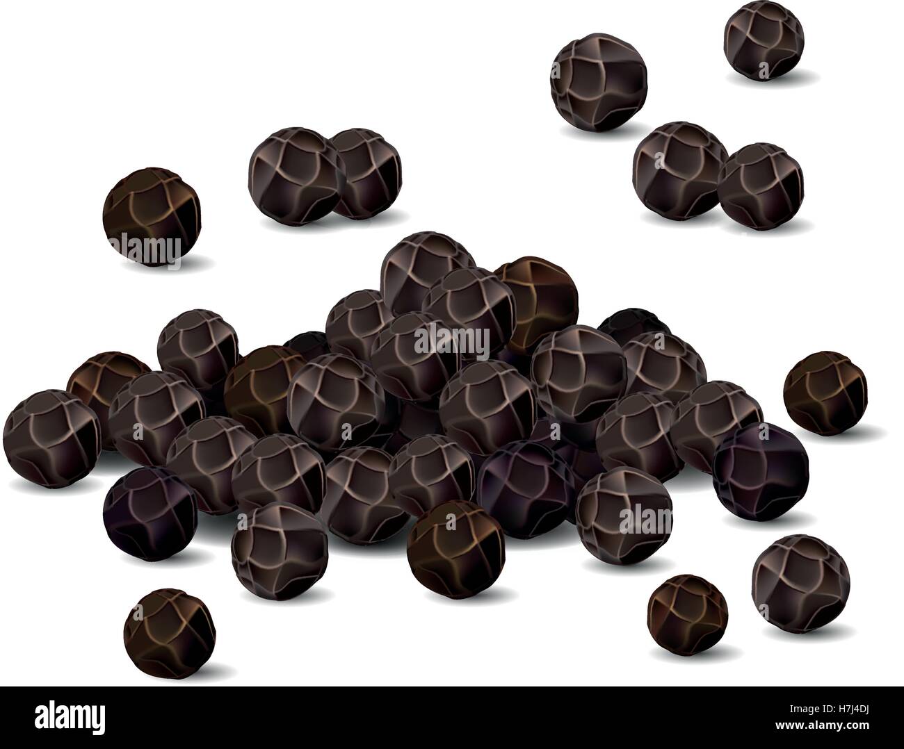 Realistico pepe nero closeup illustrazione vettoriale su sfondo bianco Illustrazione Vettoriale