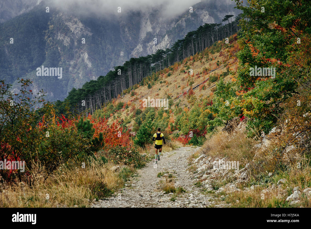 Piano generale runner acceso una maratona di montagna in background della foresta autunnale, montagne e nuvole Foto Stock