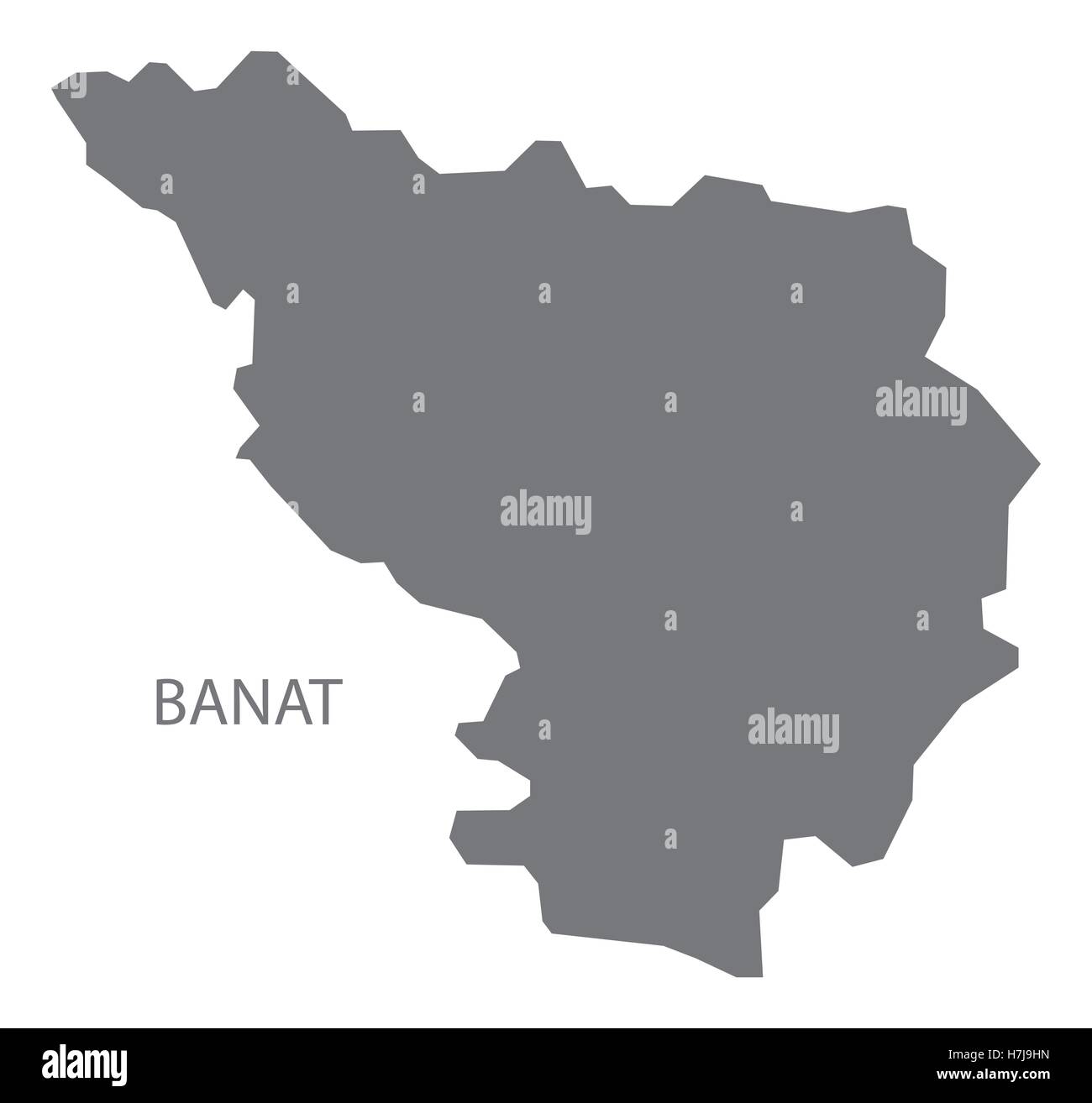 Banat Romania Mappa grigio Illustrazione Vettoriale