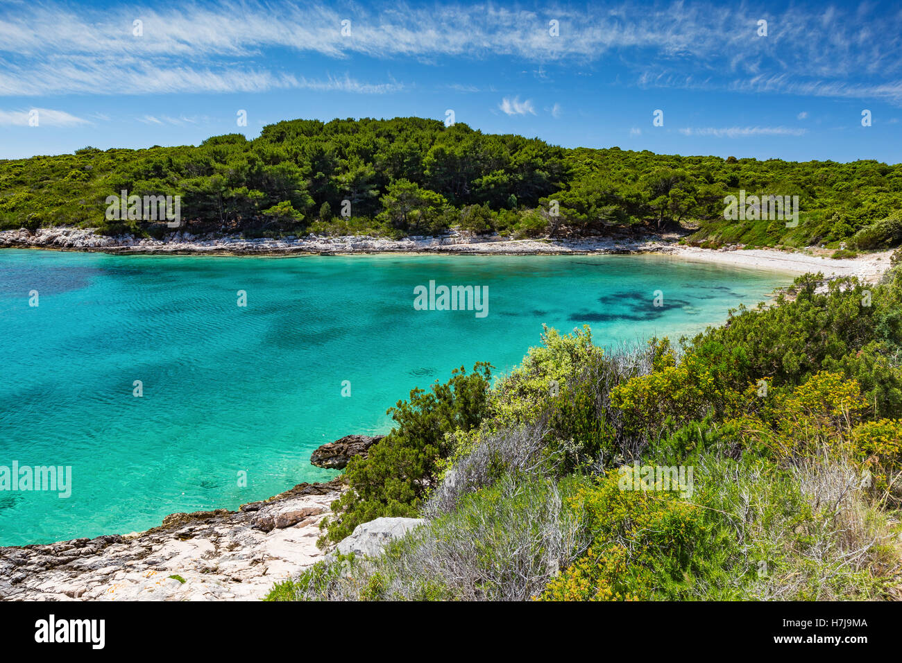 Isole Pakleni. Paklinski otoci. Costa con vegetazione mediterranea. Mare Adriatico. Croazia. Europa. Foto Stock