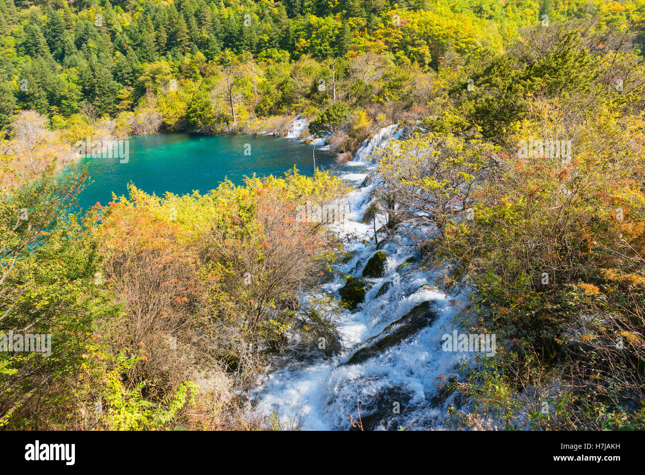 Lago di scintillanti cascate, Jiuzhaigou Parco Nazionale, nella provincia di Sichuan, in Cina, Patrimonio Mondiale dell Unesco Foto Stock