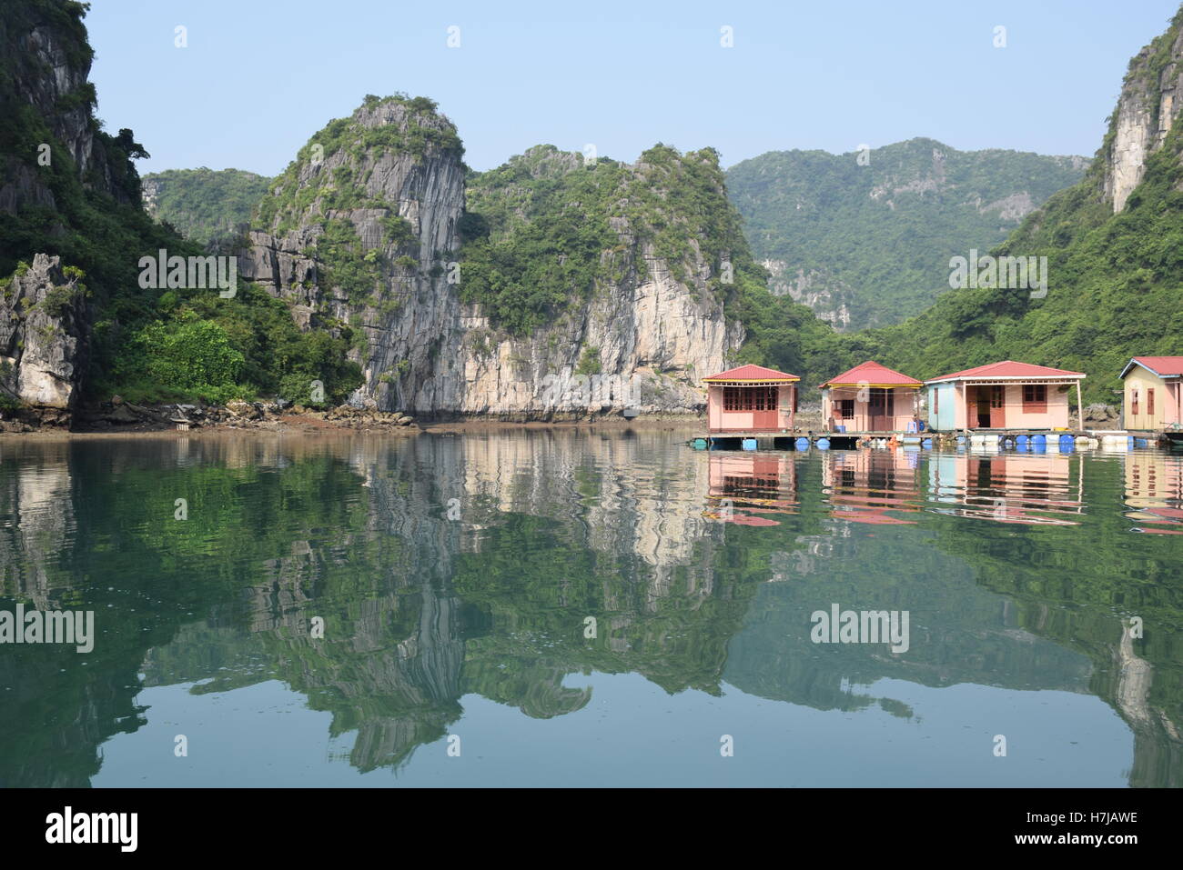 Le case galleggianti con verde di montagne che si riflettono nell'acqua nella baia di Halong, Vietnam Foto Stock