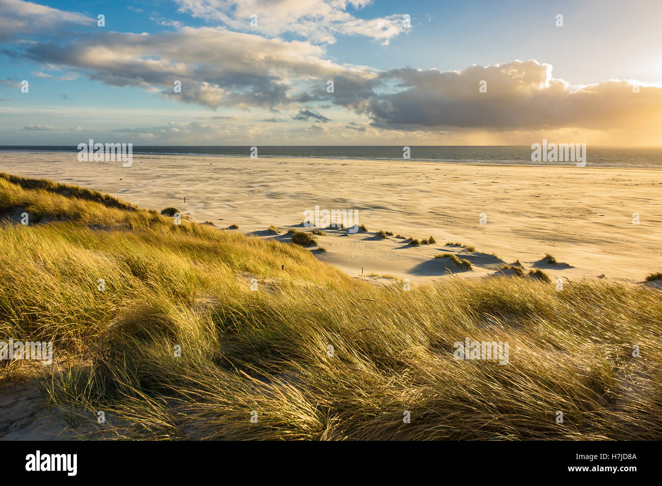 Dune sulla costa del Mare del Nord dell'isola Amrum, Germania Foto Stock