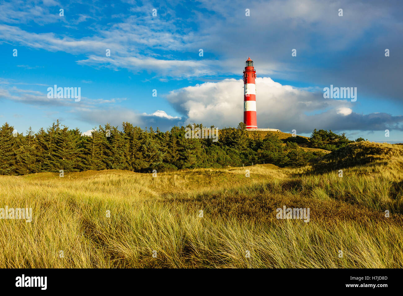 Faro in Wittduen sull'isola Amrum, Germania Foto Stock