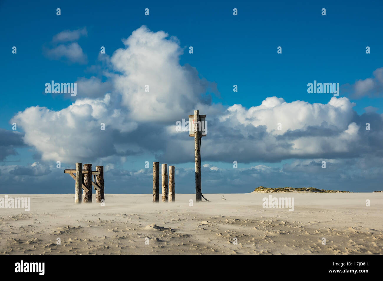 Poli sulla costa del Mare del Nord dell'isola Amrum, Germania Foto Stock