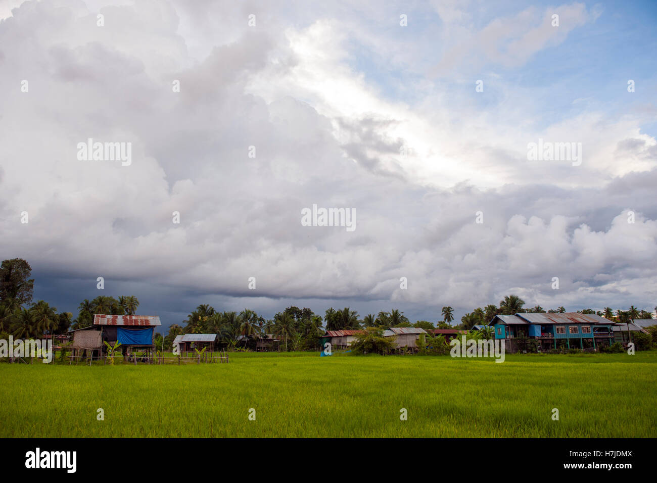 Ammira le risaie e le palafitte di si Phan Don, o quattromila isole, nel fiume Mekong nel Laos meridionale. Foto Stock