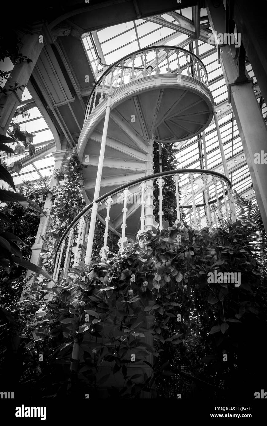 Scala all'interno di una serra vittoriana in Kew Gardens Foto Stock