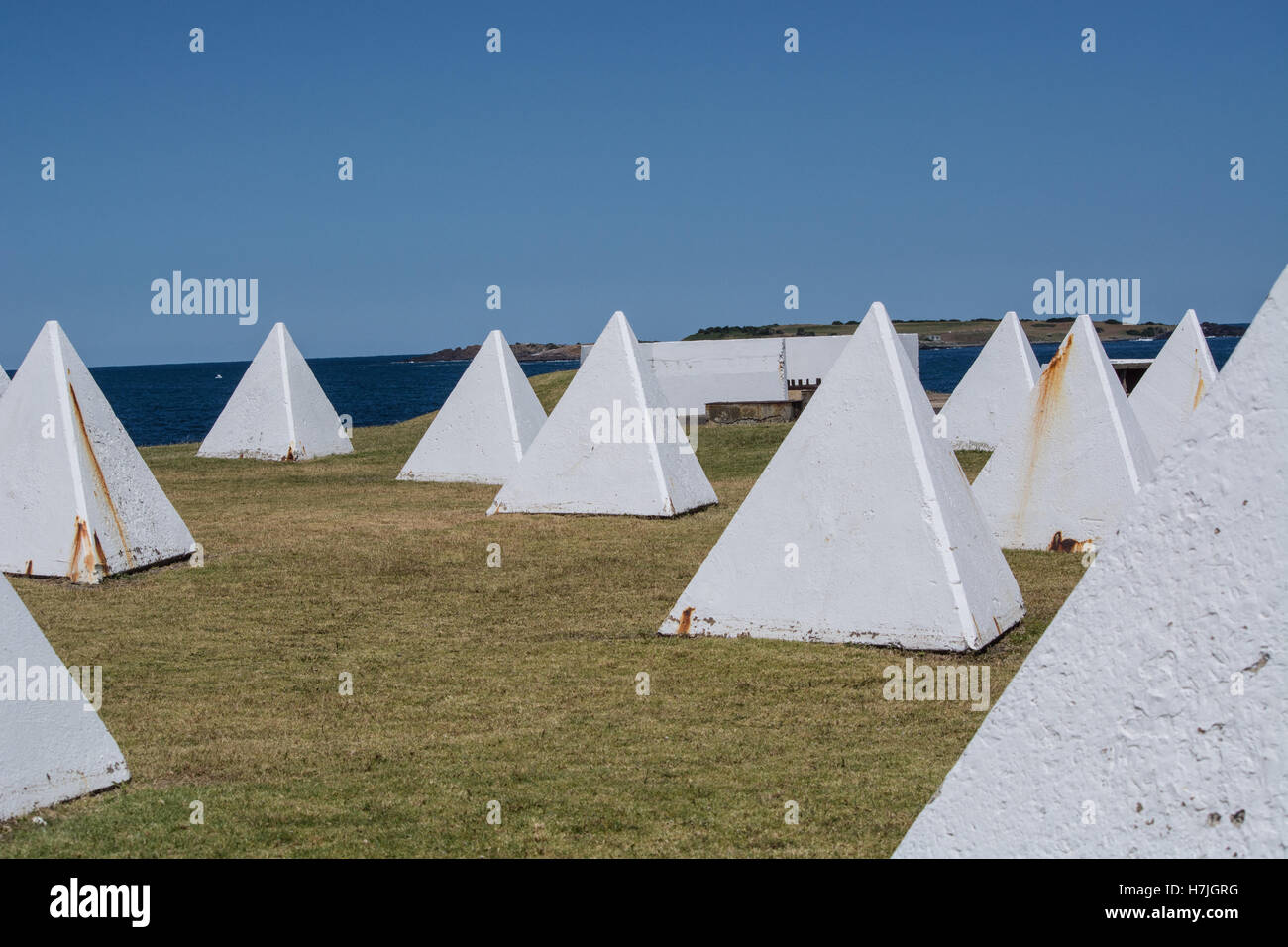 Dragon's denti sul punto a sud Port Kembla headland Porto Nuovo Galles del Sud Australia. Foto Stock