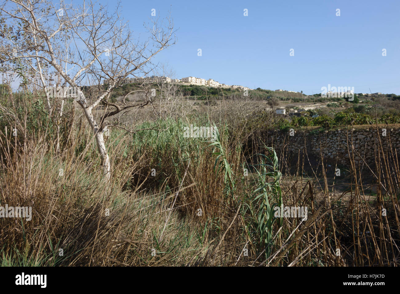 Chadwick Lakes, Malta, un weid stagionali o corsi d'acqua. Le dighe sono a secco in ottobre. Mtarfa comune al di là. Foto Stock