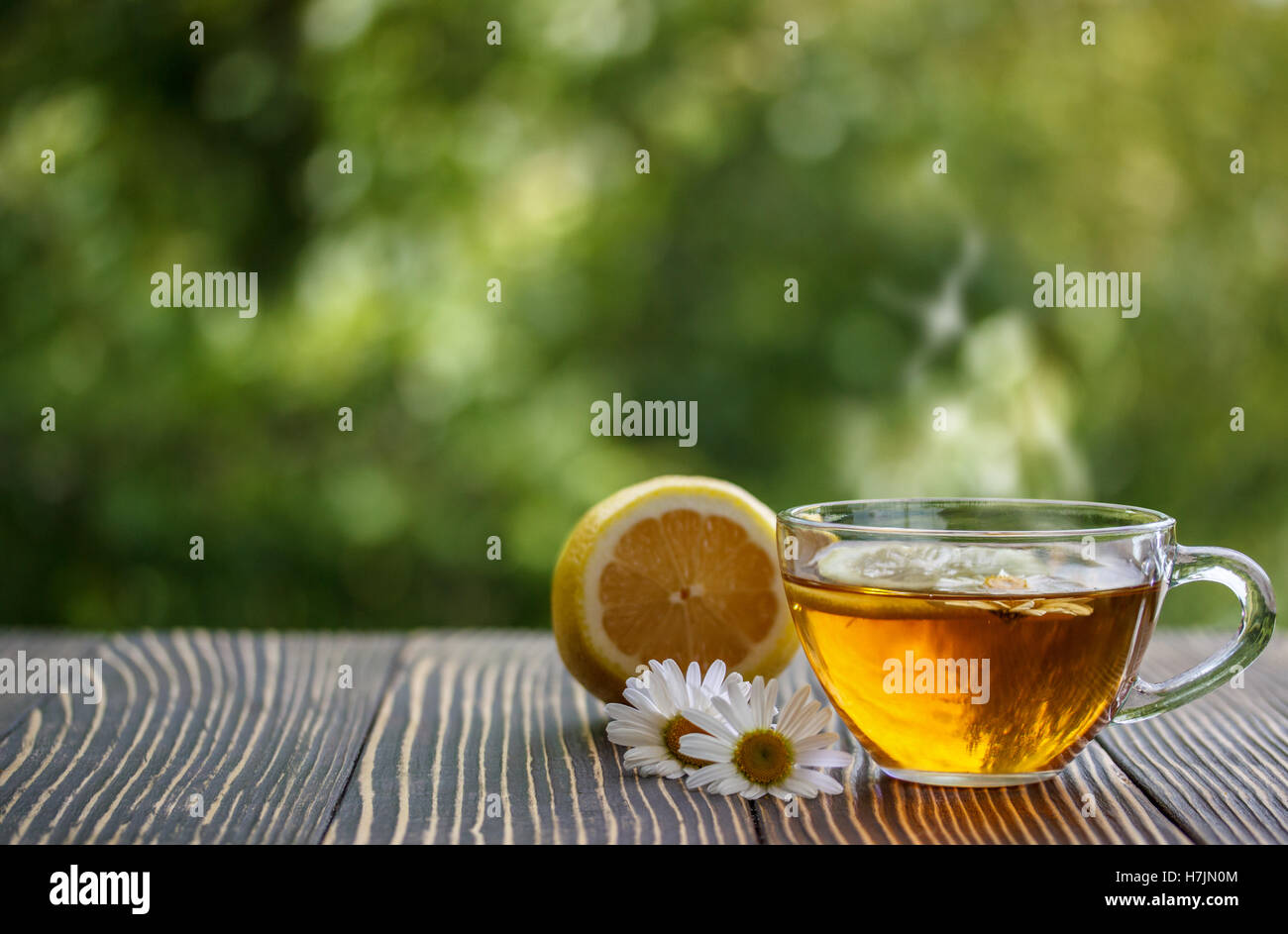 Tazza di tè camomilla con i fiori di camomilla e limone Foto Stock