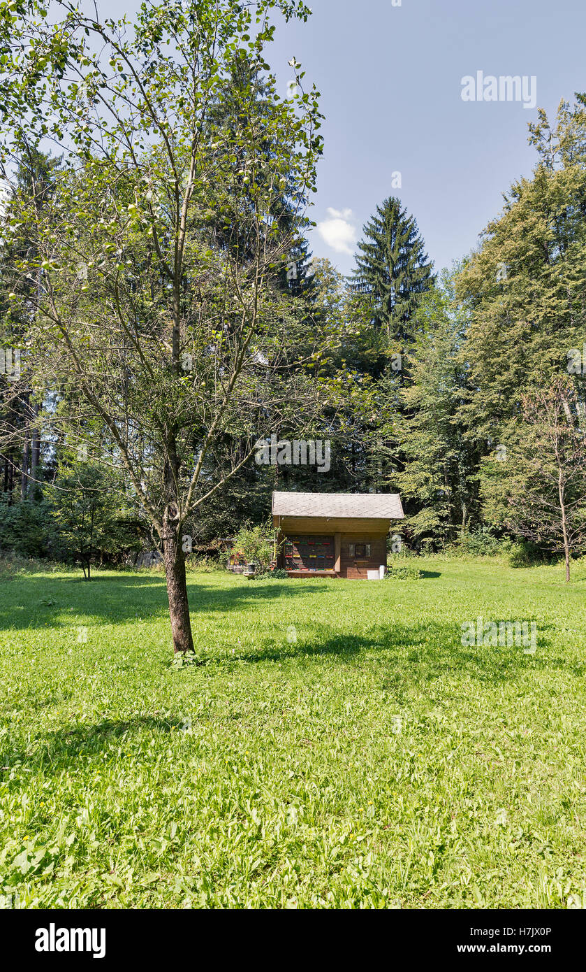 Apiariy house con orticaria nelle montagne della Slovenia Foto Stock