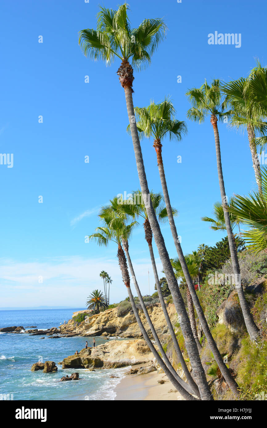 Punto di ricreazione in Laguna Beach in California. Con isola Catalina nella distanza. Parchi Heisler ricreazione punto sulla scogliera Foto Stock