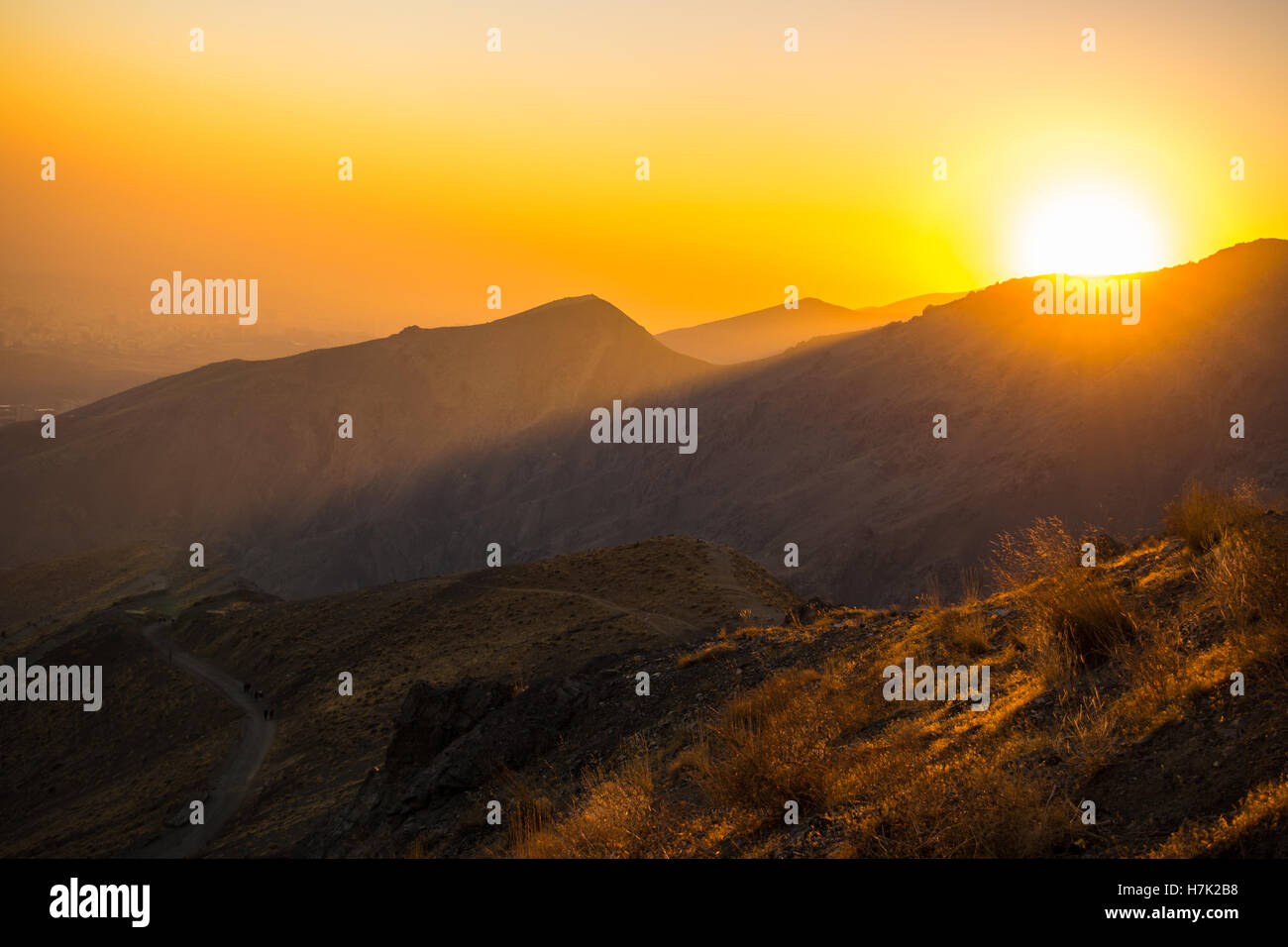 ore dorate Foto Stock