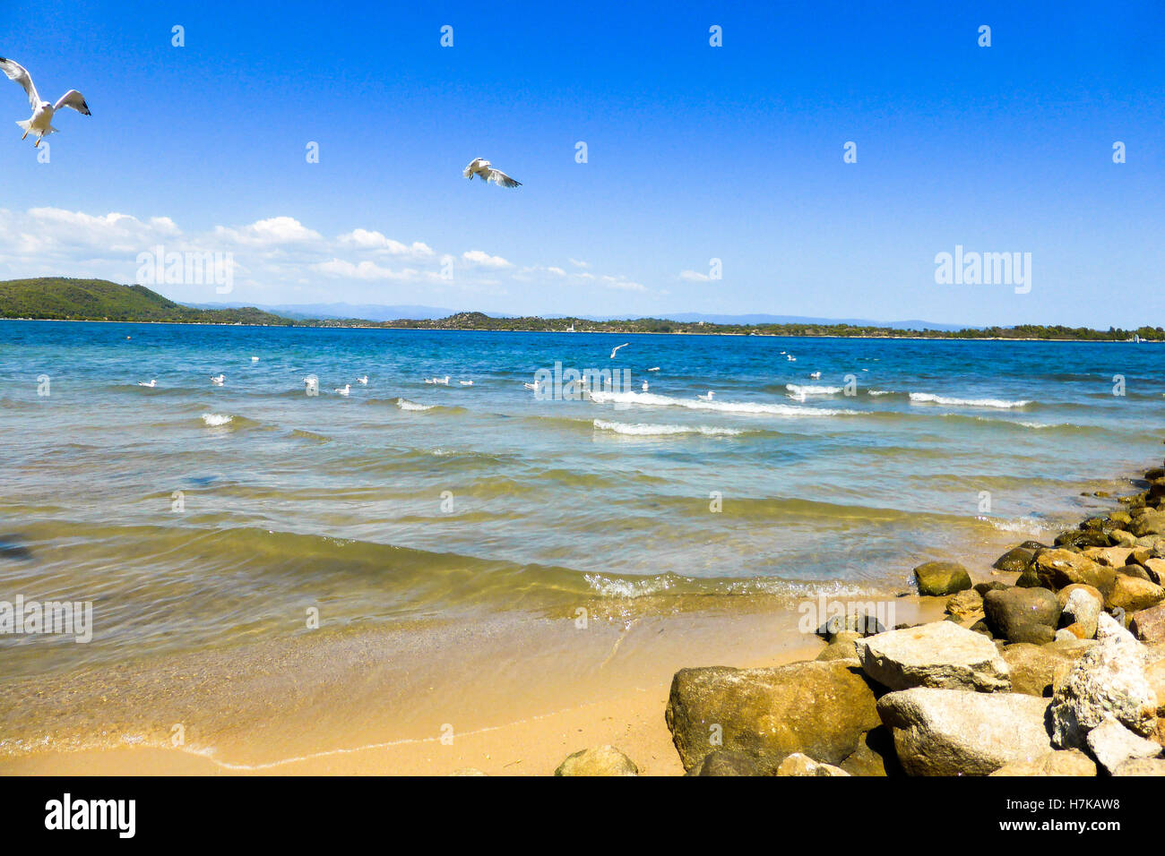 Seagull onde seashore rocce vacanza mare paesaggio Foto Stock