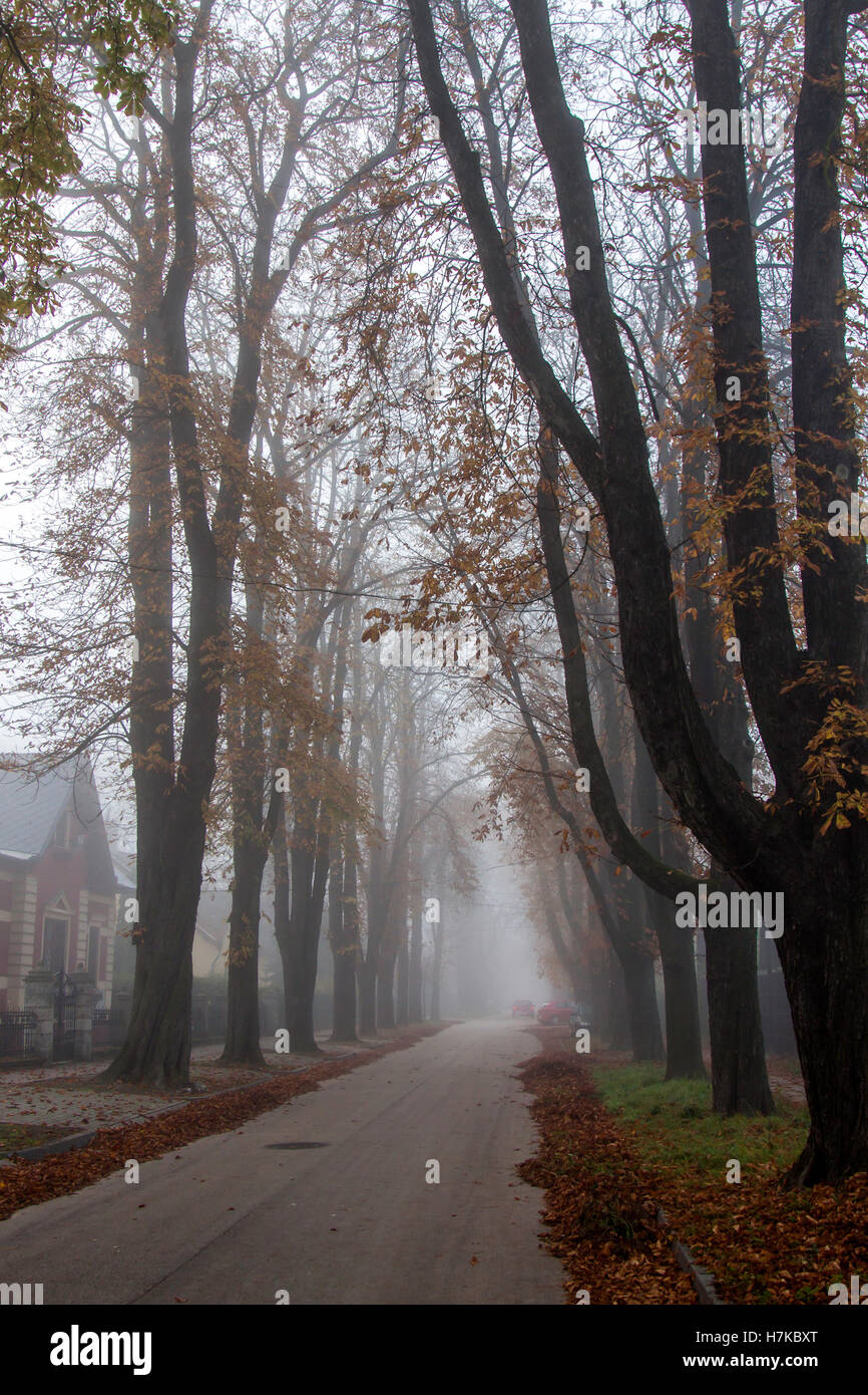 Vista di una nebbia street al sobborgo di Budapest Foto Stock