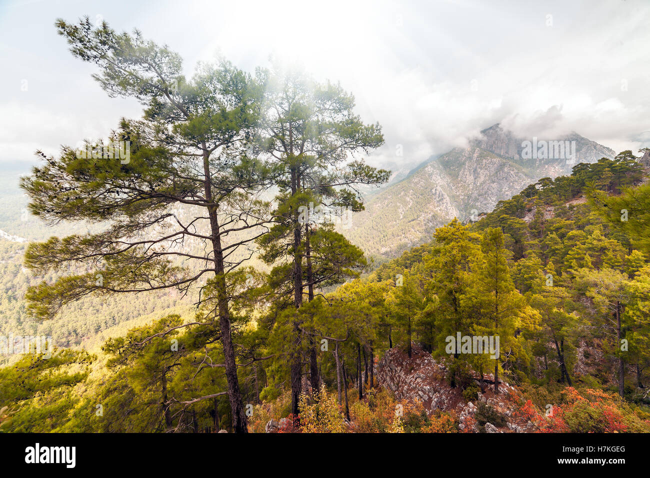 Il pittoresco in scena a Goynuk canyon, situato nel distretto di Kemer, Provincia di Antalya. Bellissima alba paesaggi Turky, Asia. Foto Stock